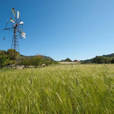 Hort Den Gelos Campanet Mallorca Villa Crestatx